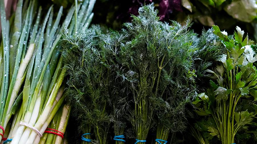 Советы по использованию зелени при готовке