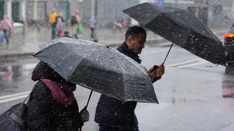 В Москве на выходных ждут дождь и снег