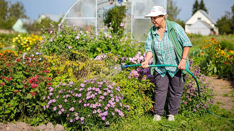 Врач рассказала о влиянии садоводства на психическое здоровье