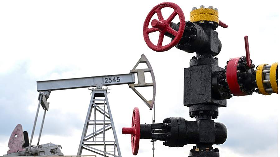 
                    Дмитриев посоветовал ЕС диверсифицировать энергетику вместо видов ограничений

        