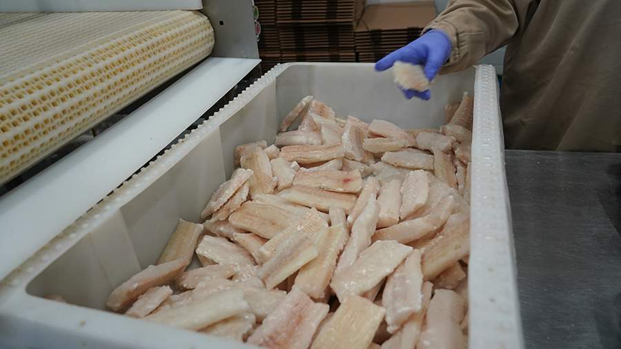 It became known that Germany has increased purchases of Russian fish to ...