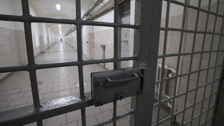 A native of Khimki was sentenced to 14 years in a penal colony for ...