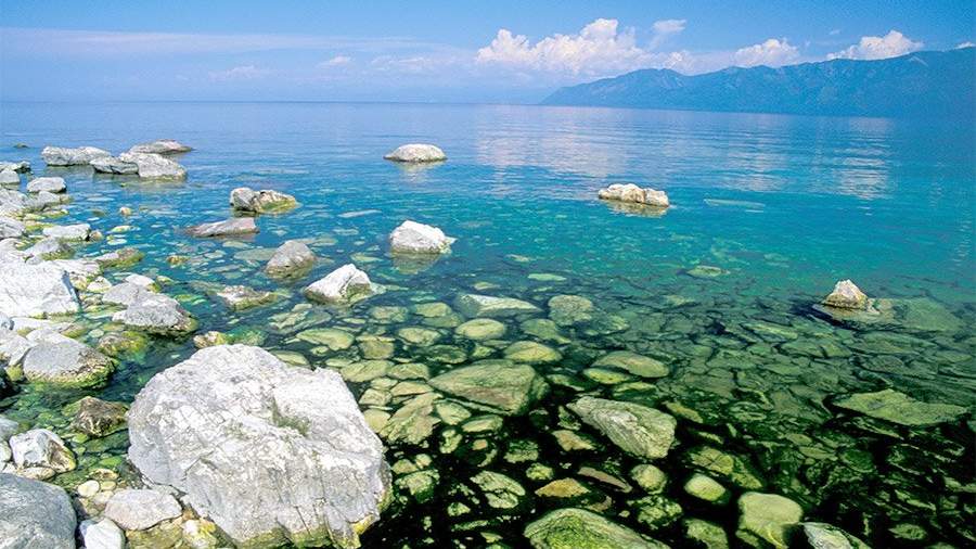 спирогира на байкале что это. Смотреть фото спирогира на байкале что это. Смотреть картинку спирогира на байкале что это. Картинка про спирогира на байкале что это. Фото спирогира на байкале что это