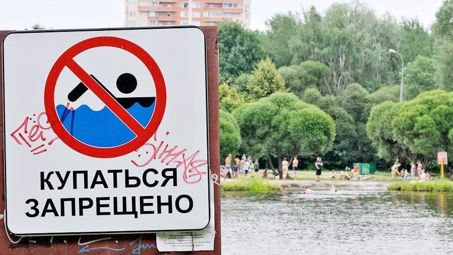 22219541284 58074a04d1 h можно ли с собаками в серебряный бор