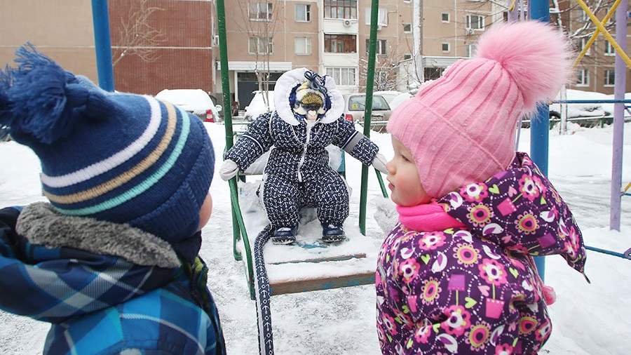 можно ли льва держать в квартире
