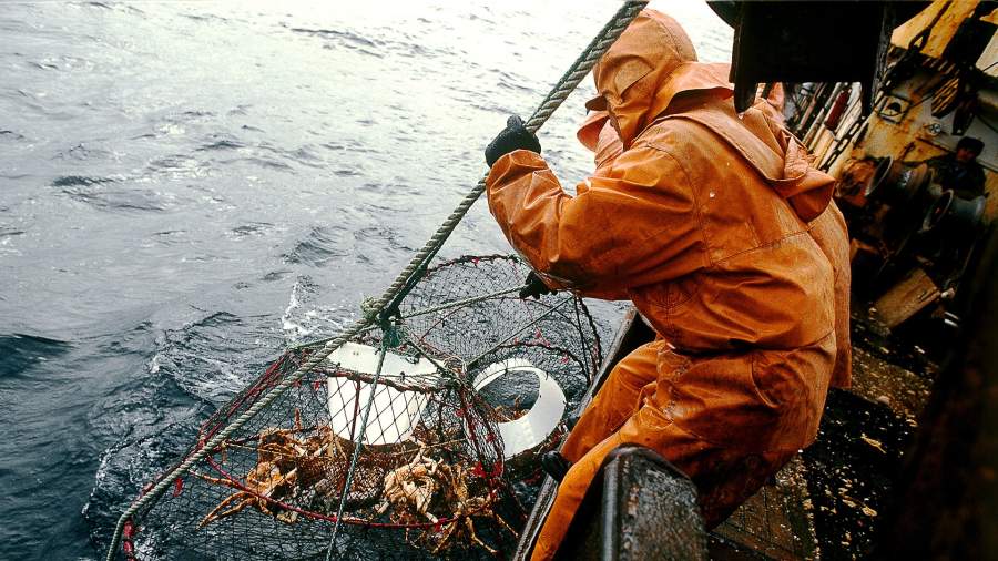 Что отдала россия японии. Смотреть фото Что отдала россия японии. Смотреть картинку Что отдала россия японии. Картинка про Что отдала россия японии. Фото Что отдала россия японии Что отдала россия японии. Смотреть фото Что отдала россия японии. Смотреть картинку Что отдала россия японии. Картинка про Что отдала россия японии. Фото Что отдала россия японии