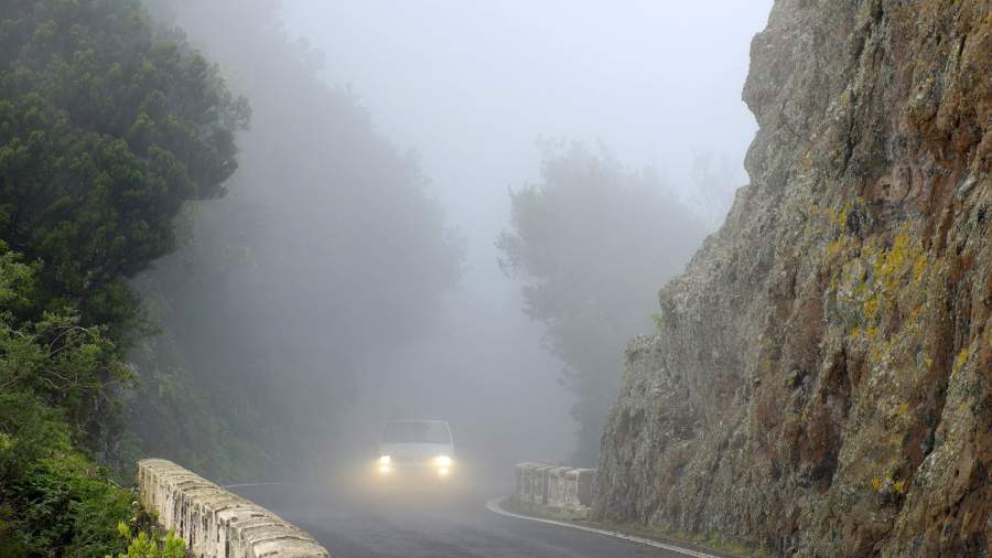 Туманная горная дорога, горы Анага, Тенерифе, Канарские острова, Испания