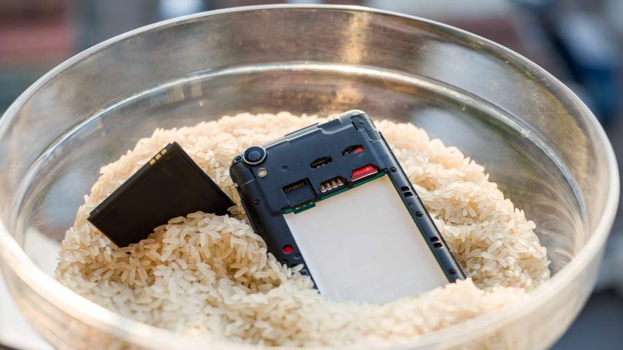 мобильный телефон рис сушка