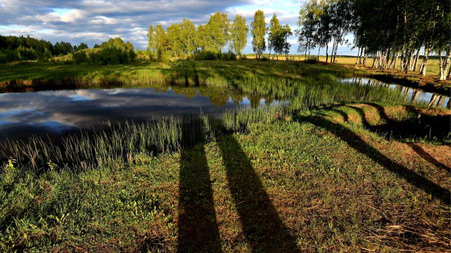 Костромская область