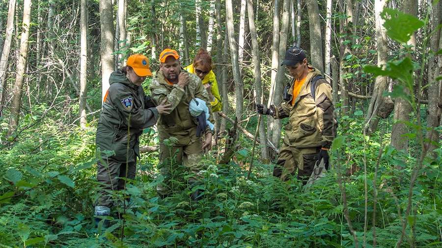 Волонтеры поискового отряда «Лиза Алерт» во время поиска пропавшего в лесу человека