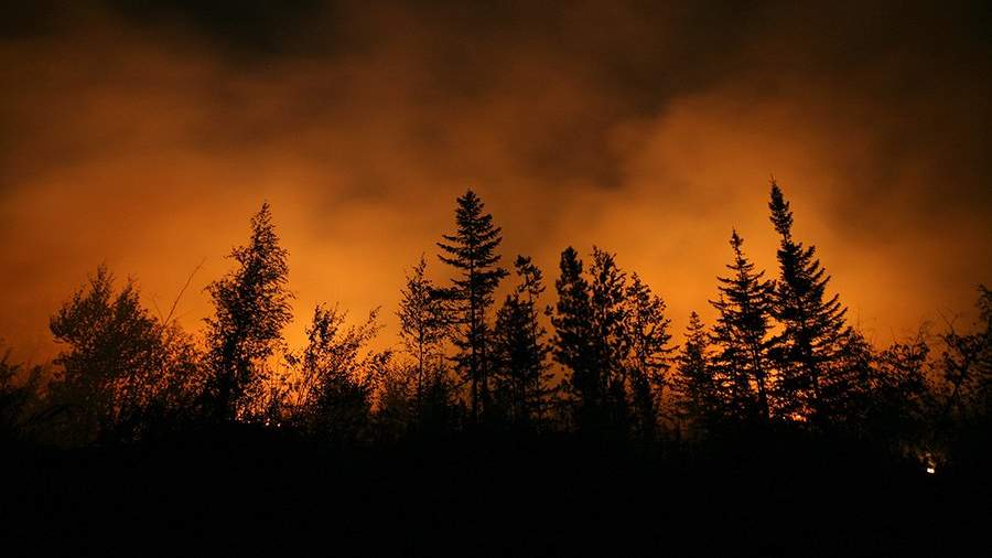 Зарево лесного пожара в Красноярском крае