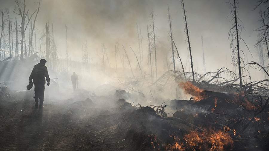Сотрудники «Авиалесоохраны» во время тушения природного лесного пожара