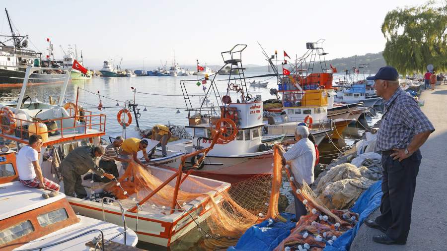 Рыболовецкий порт в провинции Синоп