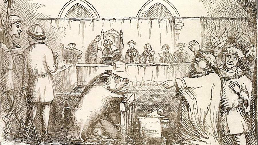 Суд над свиньей и поросятами. Иллюстрация из «The Book of Days» 1869 год