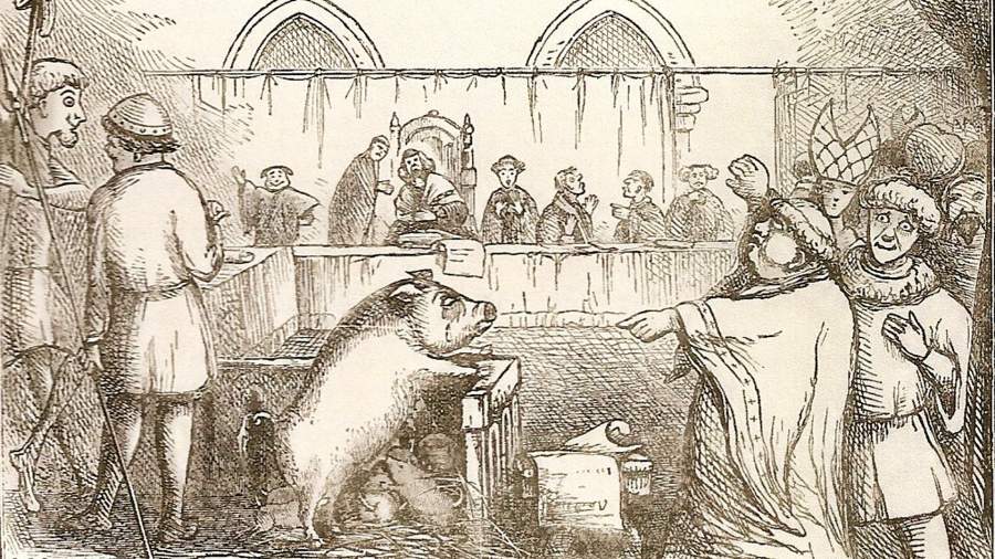 Суд над свиньей и поросятами. Иллюстрация из «The Book of Days» 1869 год