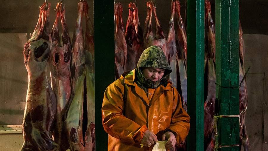 Экономика из архаики: кто сегодня занимается развитием оленеводства в русской Арктике