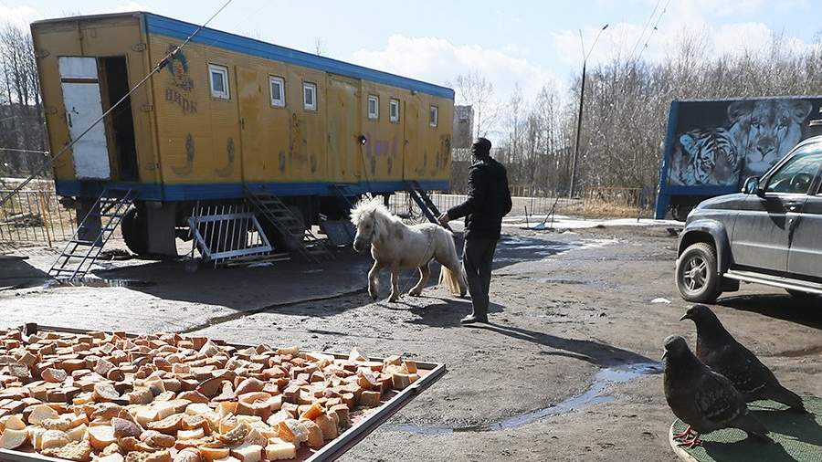 зачем нужен цирк с коронавирусом. TASS 39330636. зачем нужен цирк с коронавирусом фото. зачем нужен цирк с коронавирусом-TASS 39330636. картинка зачем нужен цирк с коронавирусом. картинка TASS 39330636.