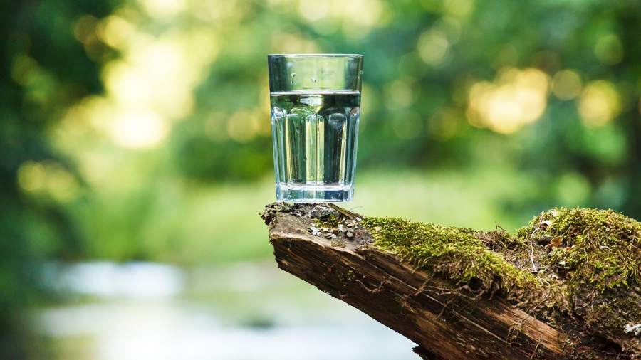 стакан вода лес
