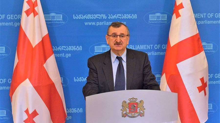 Председатель фракции «Национальное движение» в парламенте Грузии Роман Гоциридзе