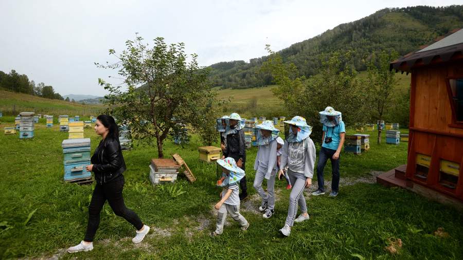 Туристы на пасеке "Мёдом в ухо" на территории особой экономической зоны "Бирюзовая Катунь" в Алтайском крае