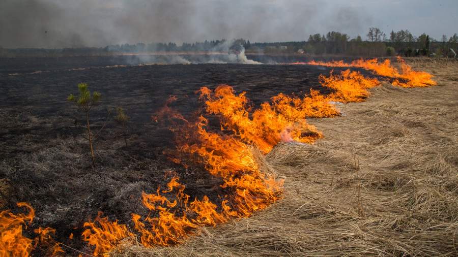 burning grass