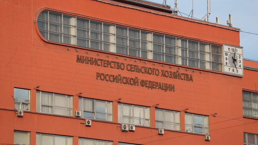 Что такое пал травы. Смотреть фото Что такое пал травы. Смотреть картинку Что такое пал травы. Картинка про Что такое пал травы. Фото Что такое пал травы