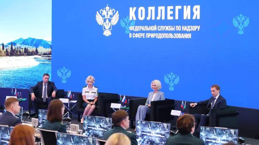 Заседание коллегии в Росприроднадзоре
