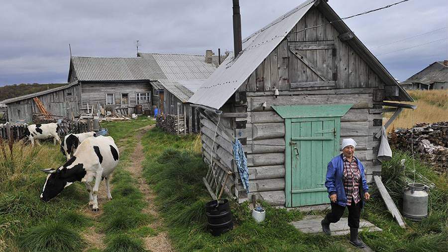 TASS 17586279 для чего нужен арктический гектар