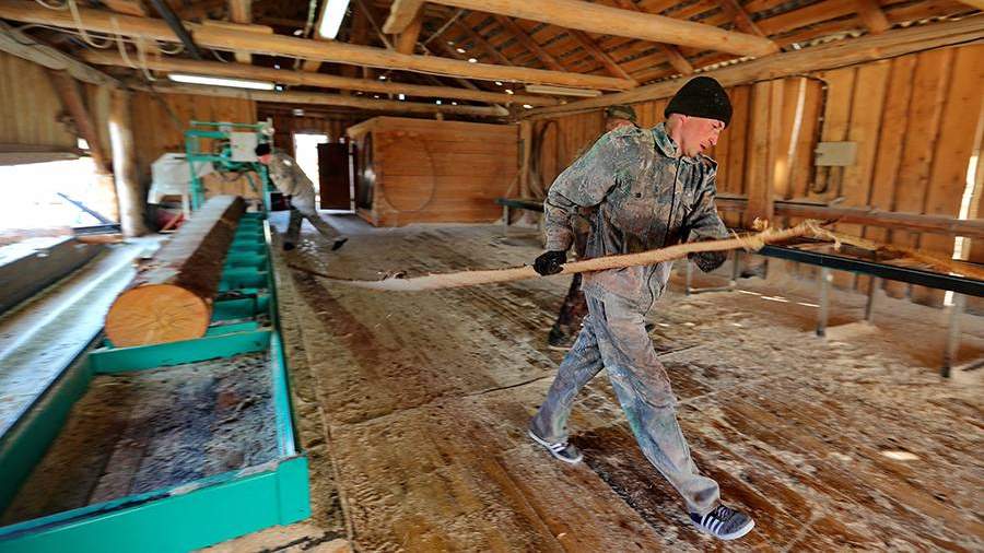 TASS 21434246 для чего нужен арктический гектар