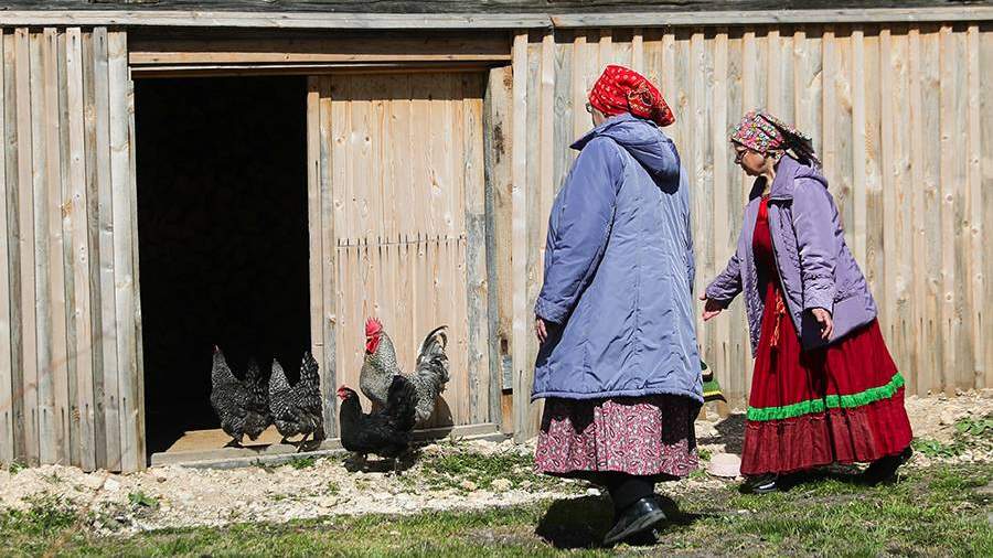 TASS 21460897 для чего нужен арктический гектар