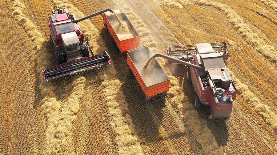 афанарели что это такое. Смотреть фото афанарели что это такое. Смотреть картинку афанарели что это такое. Картинка про афанарели что это такое. Фото афанарели что это такое афанарели что это такое. Смотреть фото афанарели что это такое. Смотреть картинку афанарели что это такое. Картинка про афанарели что это такое. Фото афанарели что это такое