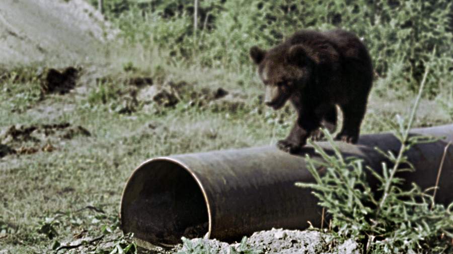 Главная нефтяная артерия России