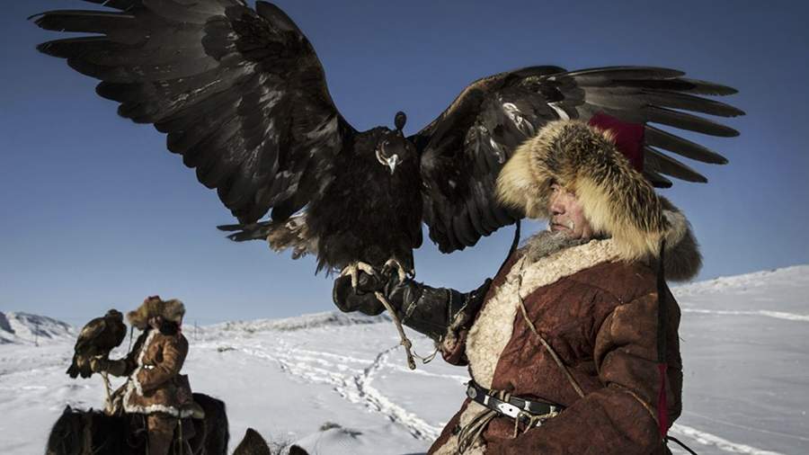 Человек и птица