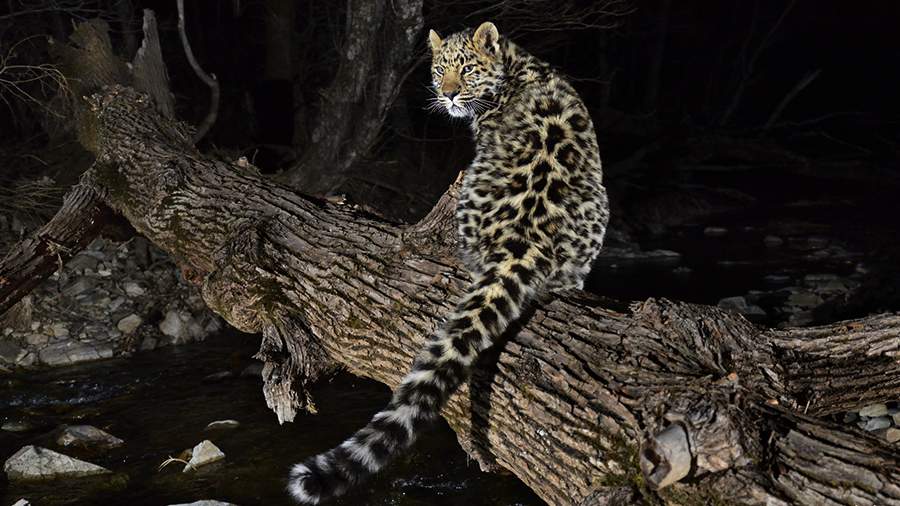 История в датах: 5 апреля