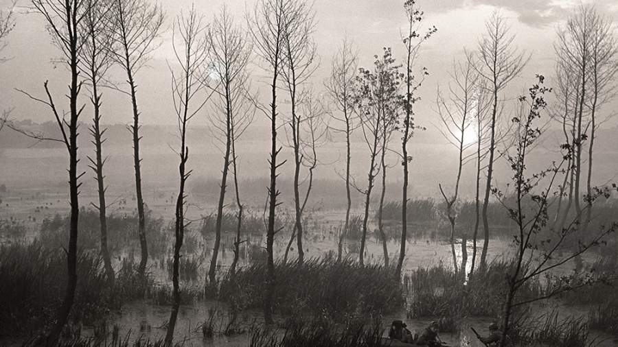 Рядом с ангелами