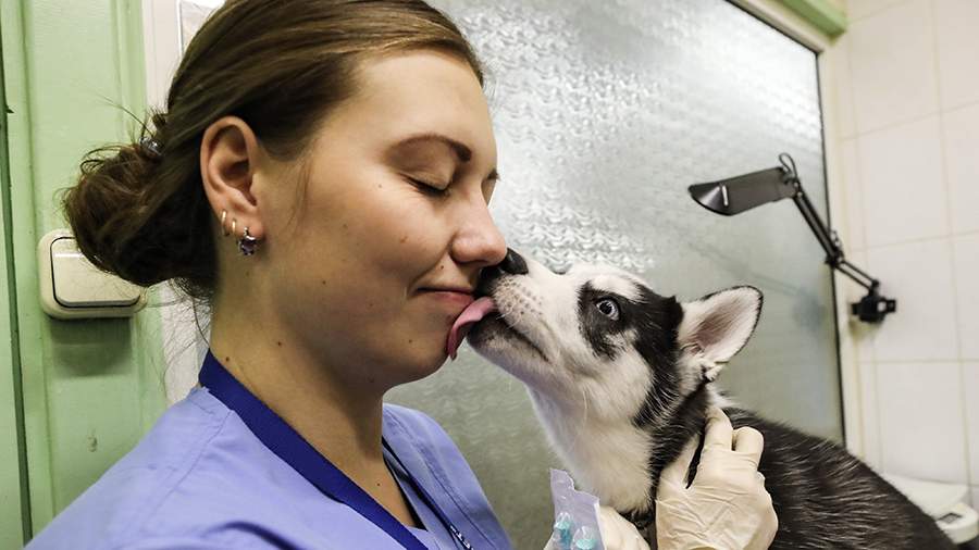 Держат хвост пистолетом