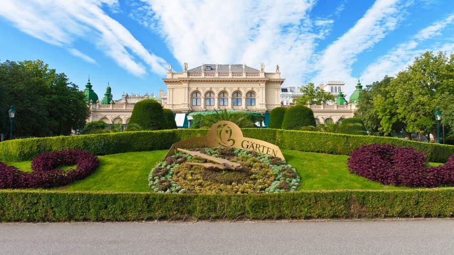 Жизнь в цвету