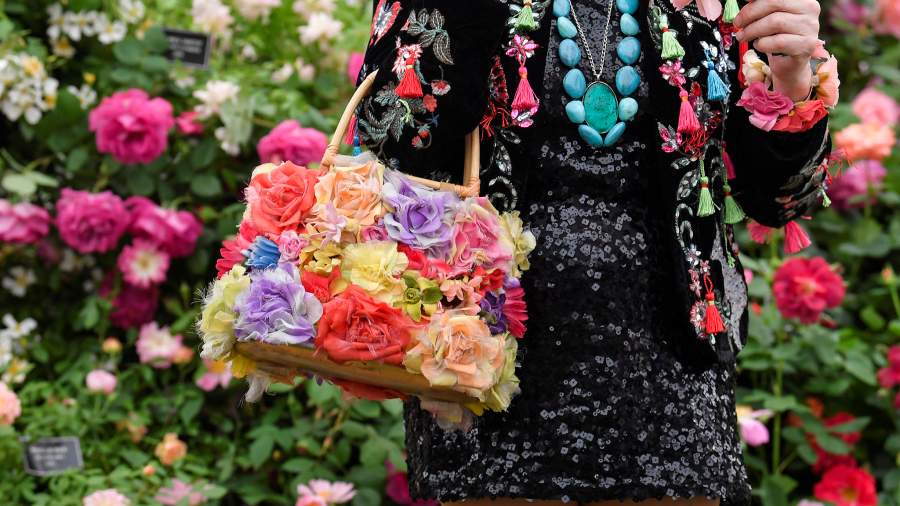 Это пока цветочки