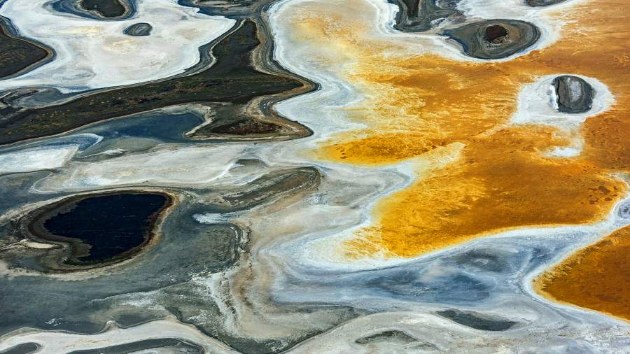 «Твой взор и дикая краса»