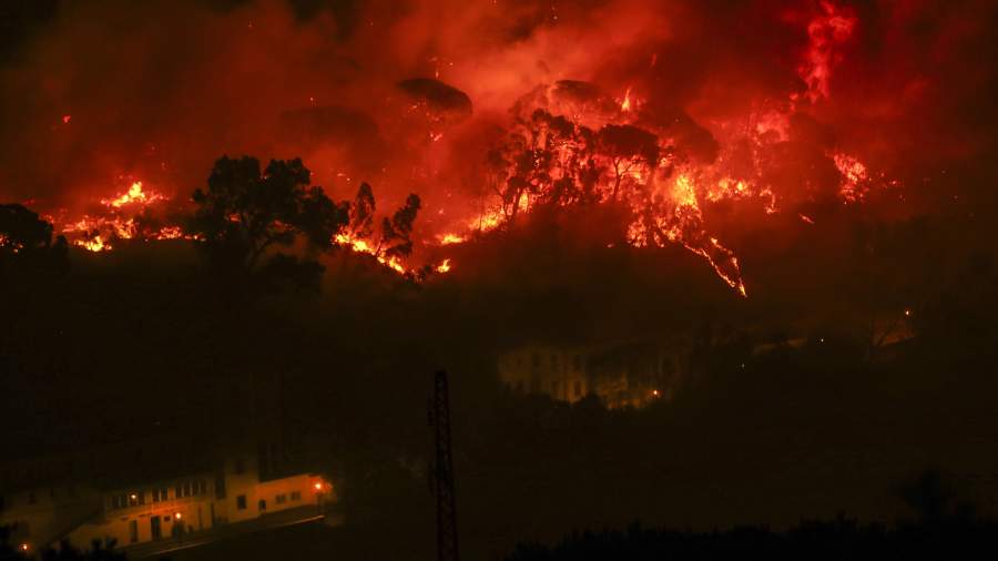 В огненном кольце: в Португалии бушуют лесные пожары