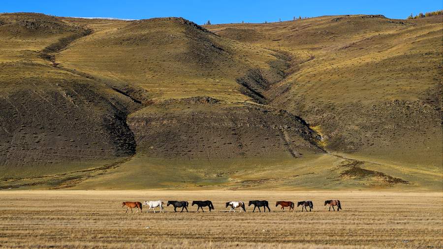 Когда осень — это красиво: сентябрь на Алтае