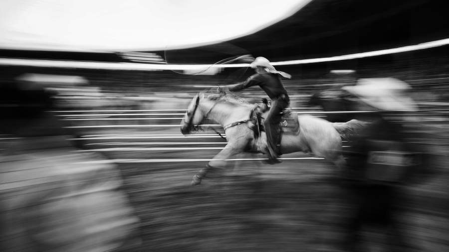 По правилам родео: как живут профессиональные ковбои