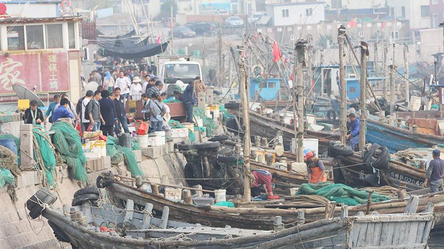 Вам и не снилось: как устроена работа рыбных рынков в Китае