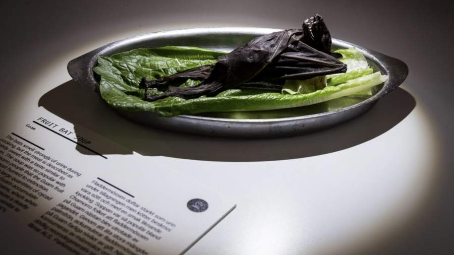 Мышь отсюда: что показывают в шведском Музее отвратительной еды