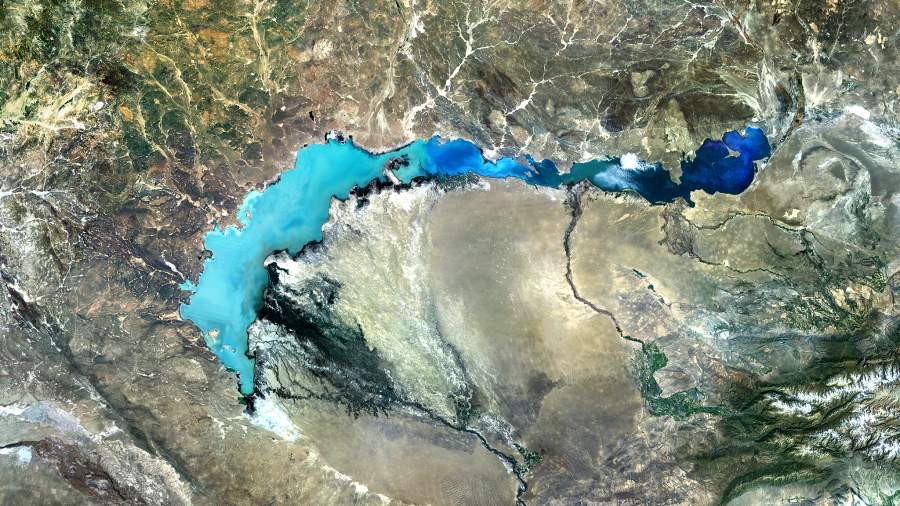 Хищные планы: удастся ли вернуть исчезнувших тигров в дельту Балхаша