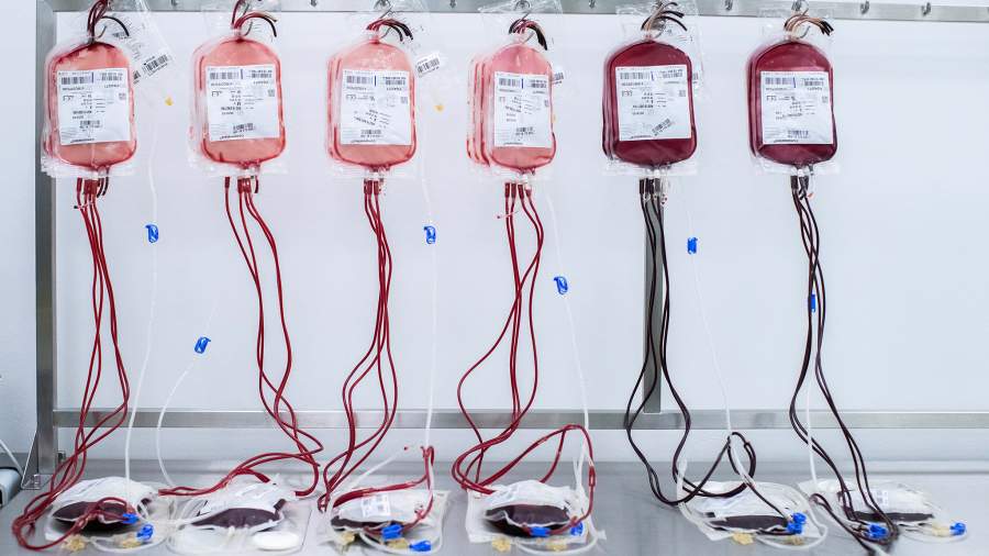 Разливная красная: как работает самый большой в Европе банк крови