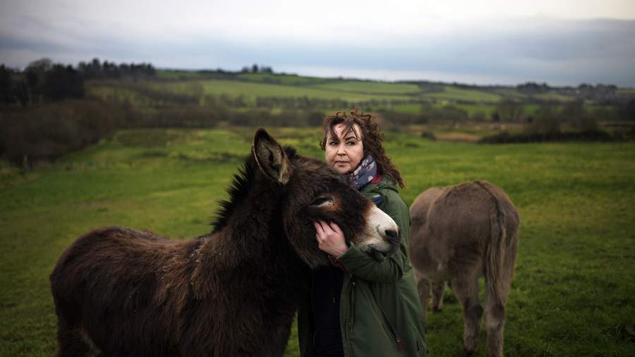 Пограничное состояние: ирландцы ожидают возвращения блок-постов и колючей проволоки