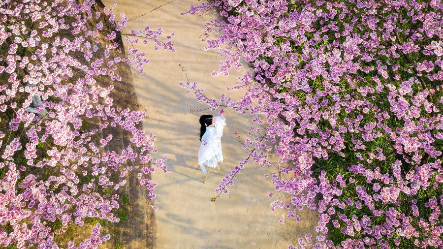 Весеннее обострение: куда поехали любители цветов