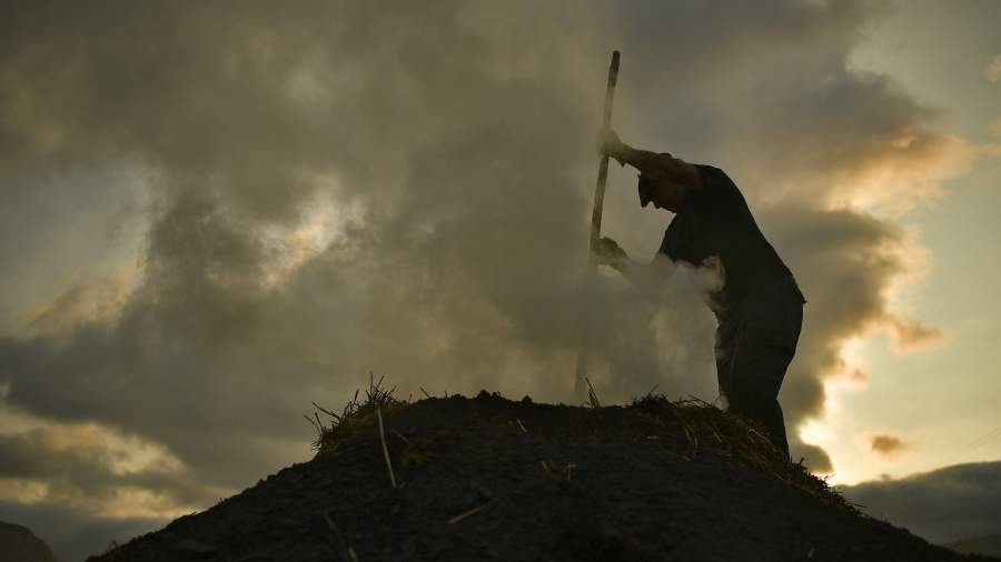 Семейный очаг: как испанцы производят древесный уголь