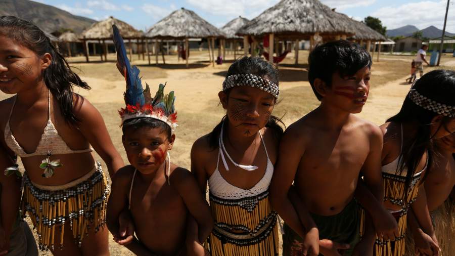 Земляная лихорадка: кому помешали макуши